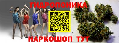 a pvp Краснодар