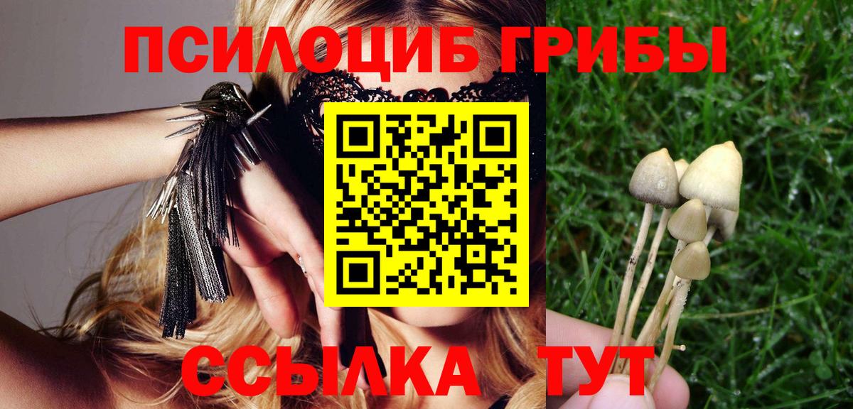 Клин  Псилоцибиновые грибы мухоморы  Псилоцибиновые грибы Cubensis  Вход с VPN 